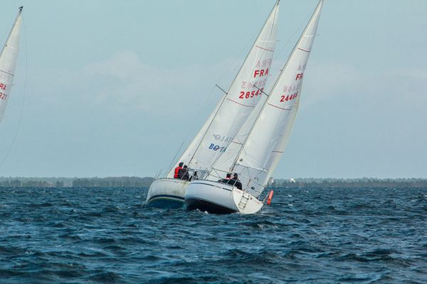 Champ automne 3 – photo 24