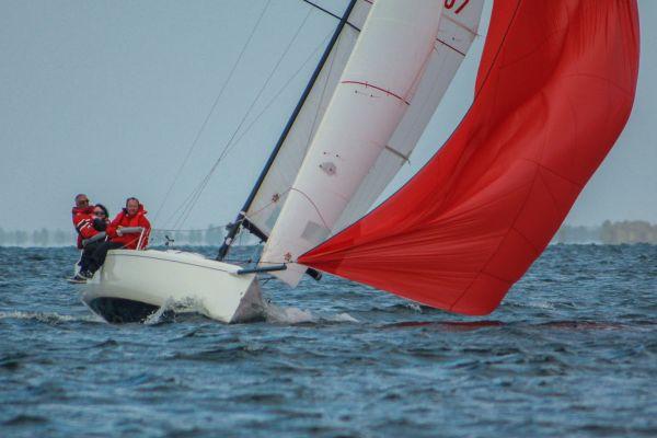 Champ automne 3 – photo 28