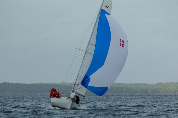 Champ automne 3 – photo 35