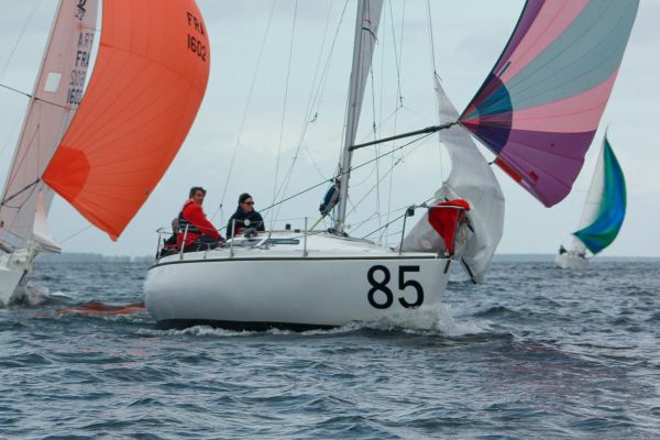 Champ automne 3 – photo 39