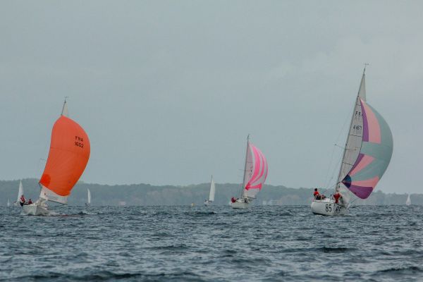 Champ automne 3 – photo 37
