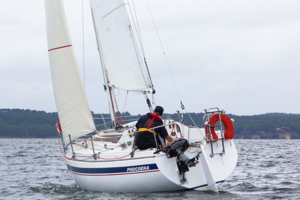La solitaire – photo 24