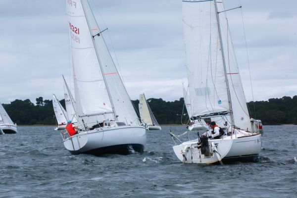 La solitaire – photo 18