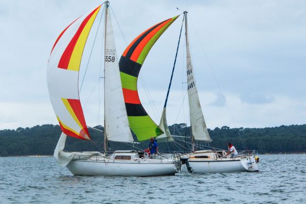 La solitaire – photo 39