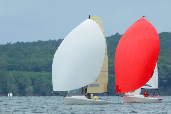 La solitaire – photo 30