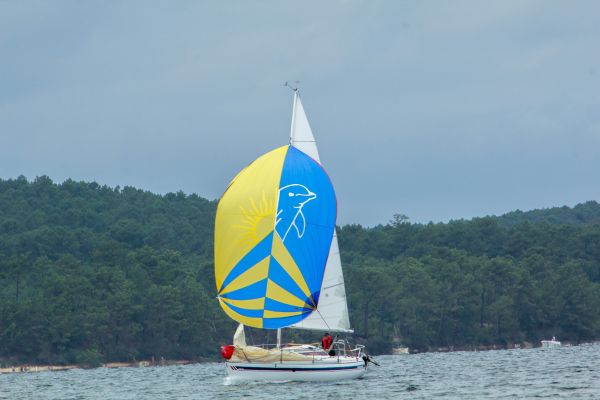 La solitaire – photo 31
