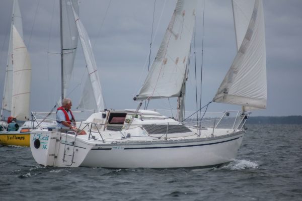 La solitaire – photo 14