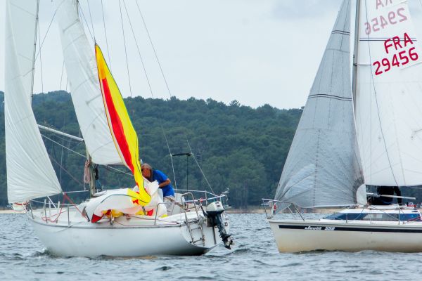 La solitaire – photo 41