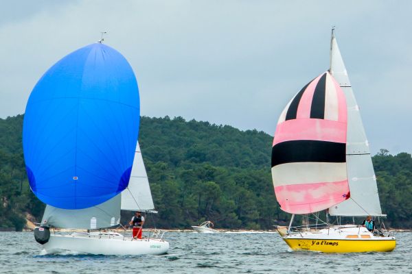 La solitaire – photo 33