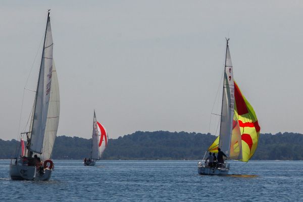 Regate ace & guy hoquet – photo 73