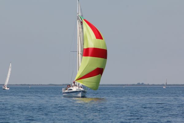 Regate ace & guy hoquet – photo 110