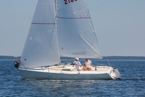 Regate ace & guy hoquet – photo 56