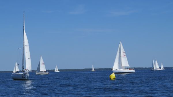La solitaire – photo 105