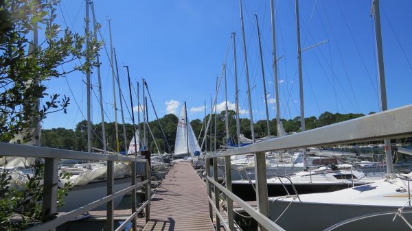 La solitaire – photo 3