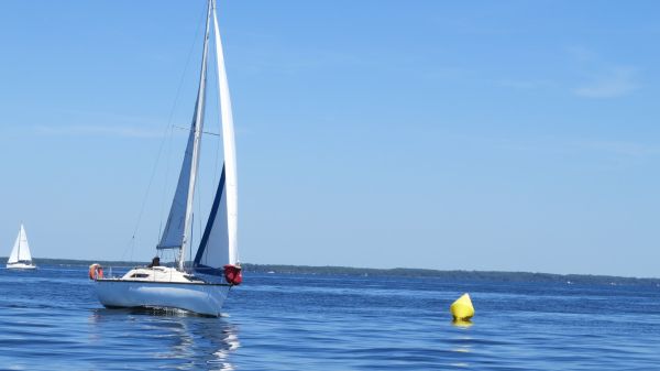 La solitaire – photo 116