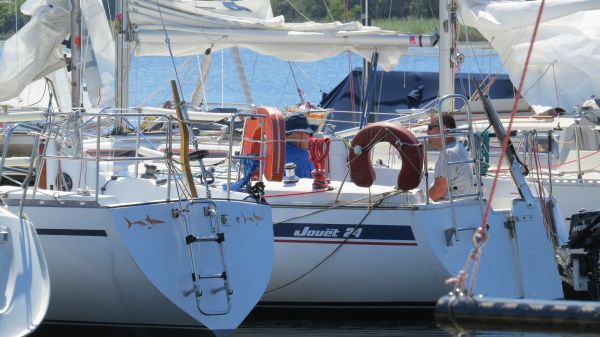 La solitaire – photo 4