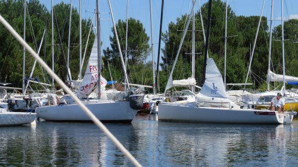 La solitaire – photo 33