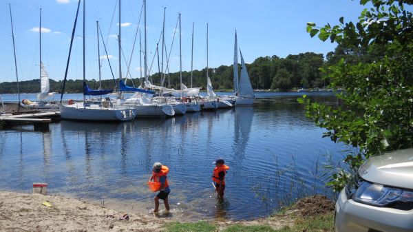 La solitaire – photo 5