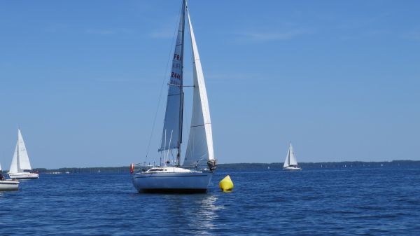 La solitaire – photo 111