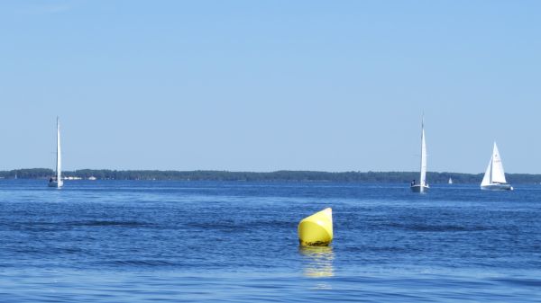 La solitaire – photo 82