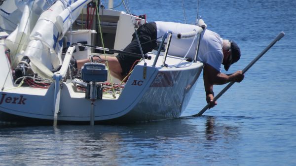 La solitaire – photo 38