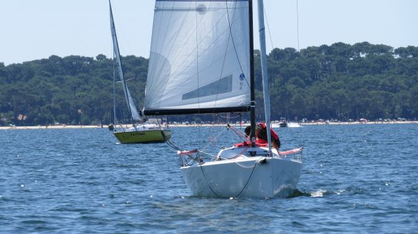 La solitaire – photo 62