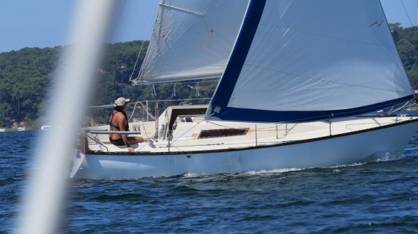 La solitaire – photo 54