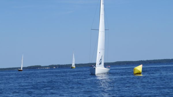 La solitaire – photo 93