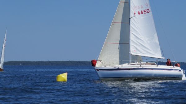 La solitaire – photo 95