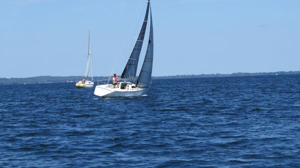 La solitaire – photo 50