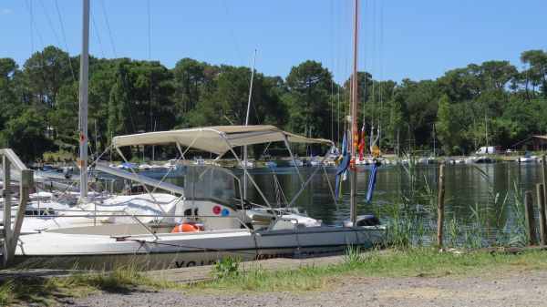 La solitaire – photo 6