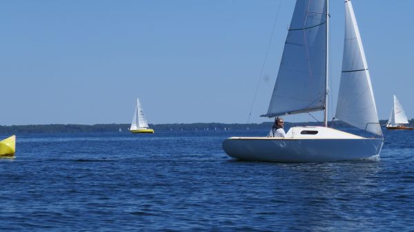 La solitaire – photo 91