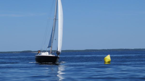 La solitaire – photo 118