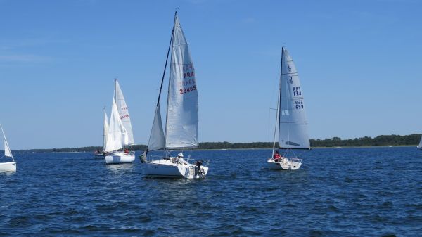 La solitaire – photo 68