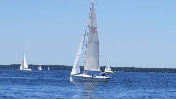 La solitaire – photo 84
