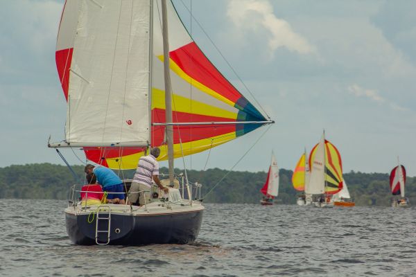 Trophée botalo – photo 22