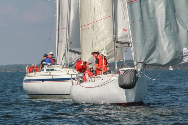 Trophée ducom pierre & fils – photo 49