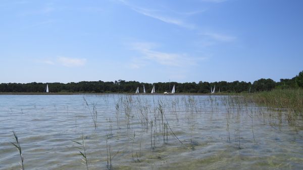 La Solitaire 2019 – photo 45