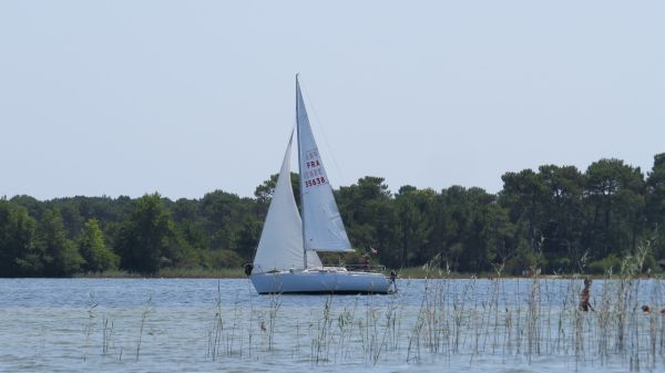 La Solitaire 2019 – photo 77