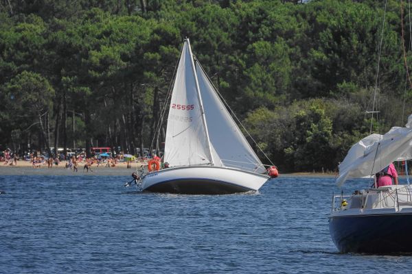 La solitaire – photo 54