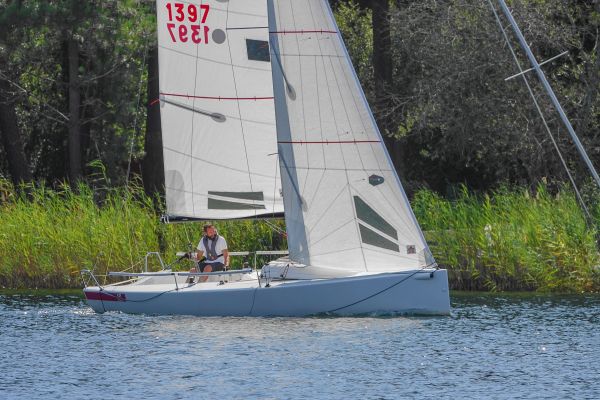 La solitaire – photo 8