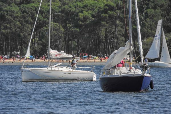 La solitaire – photo 53