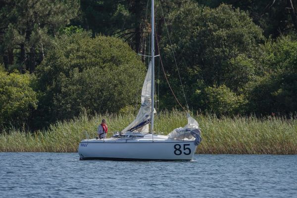 La solitaire – photo 31