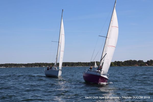 Régate ducom pierre & fils – photo 45