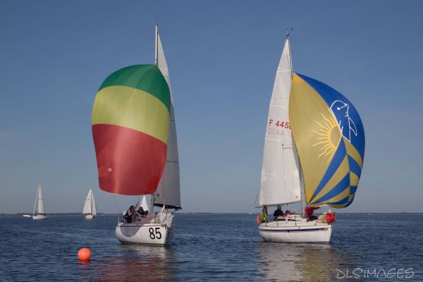 Régate land'elles – photo 229