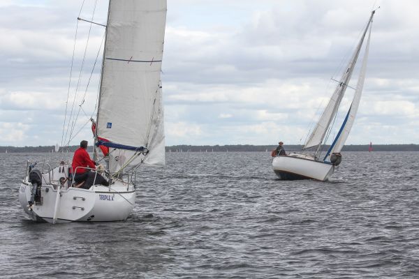 Championnat d'automne 2 – photo 78