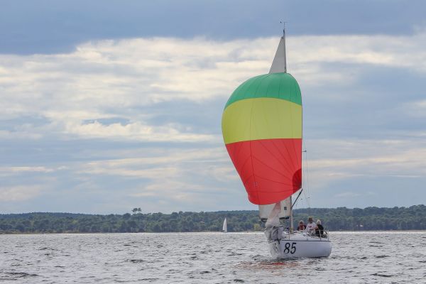 Régate du jeune régatier et du débutant – photo 40