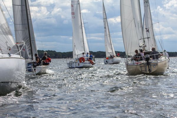 Régate du jeune régatier et du débutant – photo 13