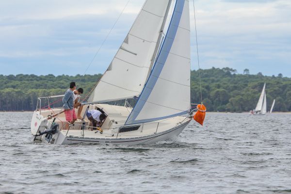 Régate du jeune régatier et du débutant – photo 29