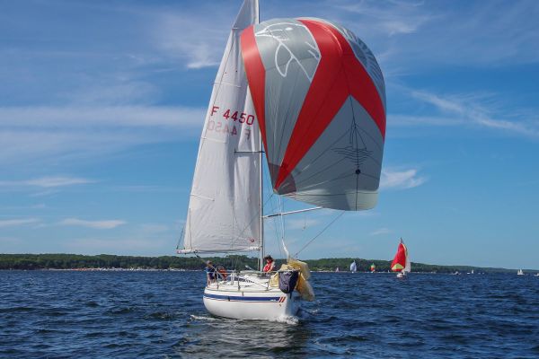 Trophée – photo 39